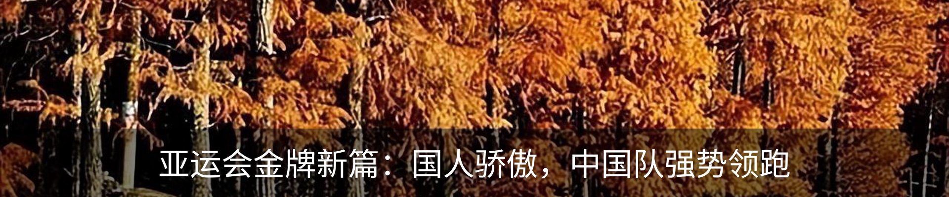 新闻中心